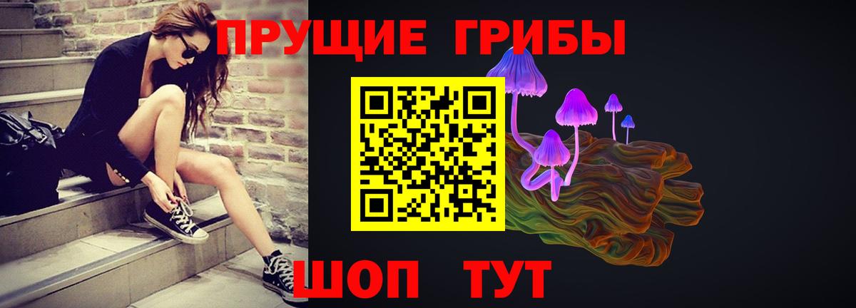 Галлюциногенные грибы Cubensis  Вход с VPN  Кызыл 